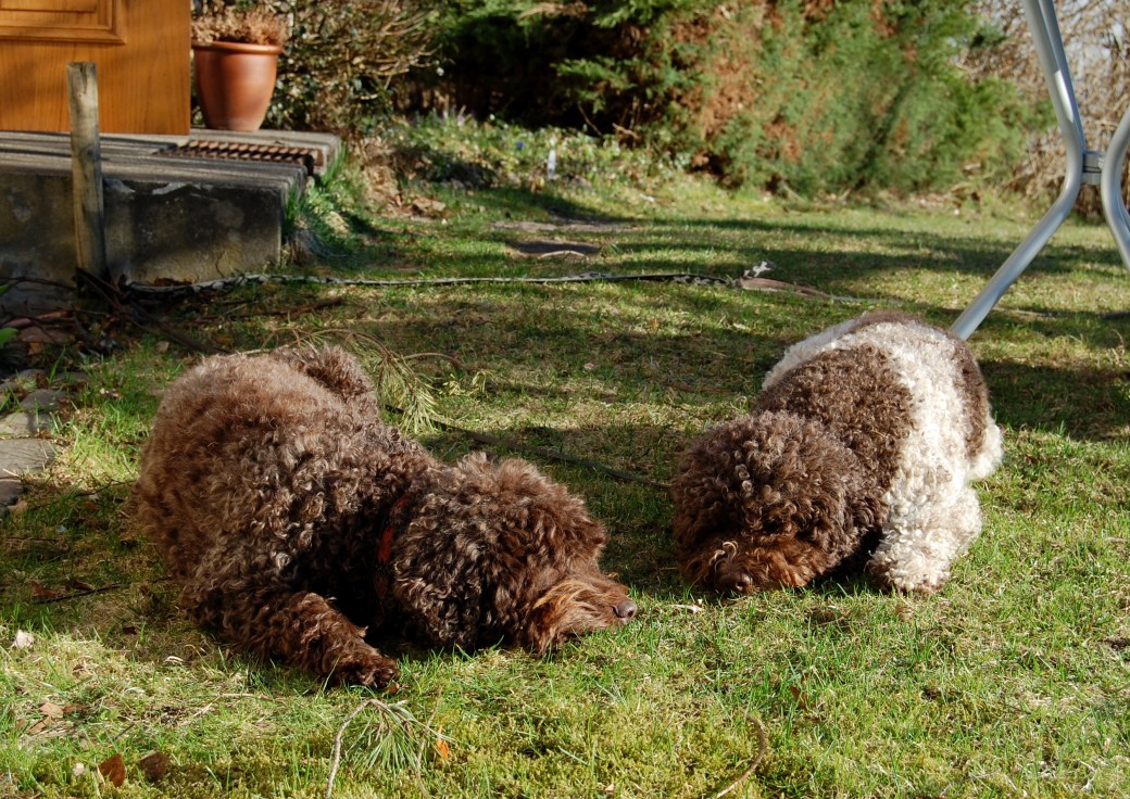 Första vårdagen 2011 042