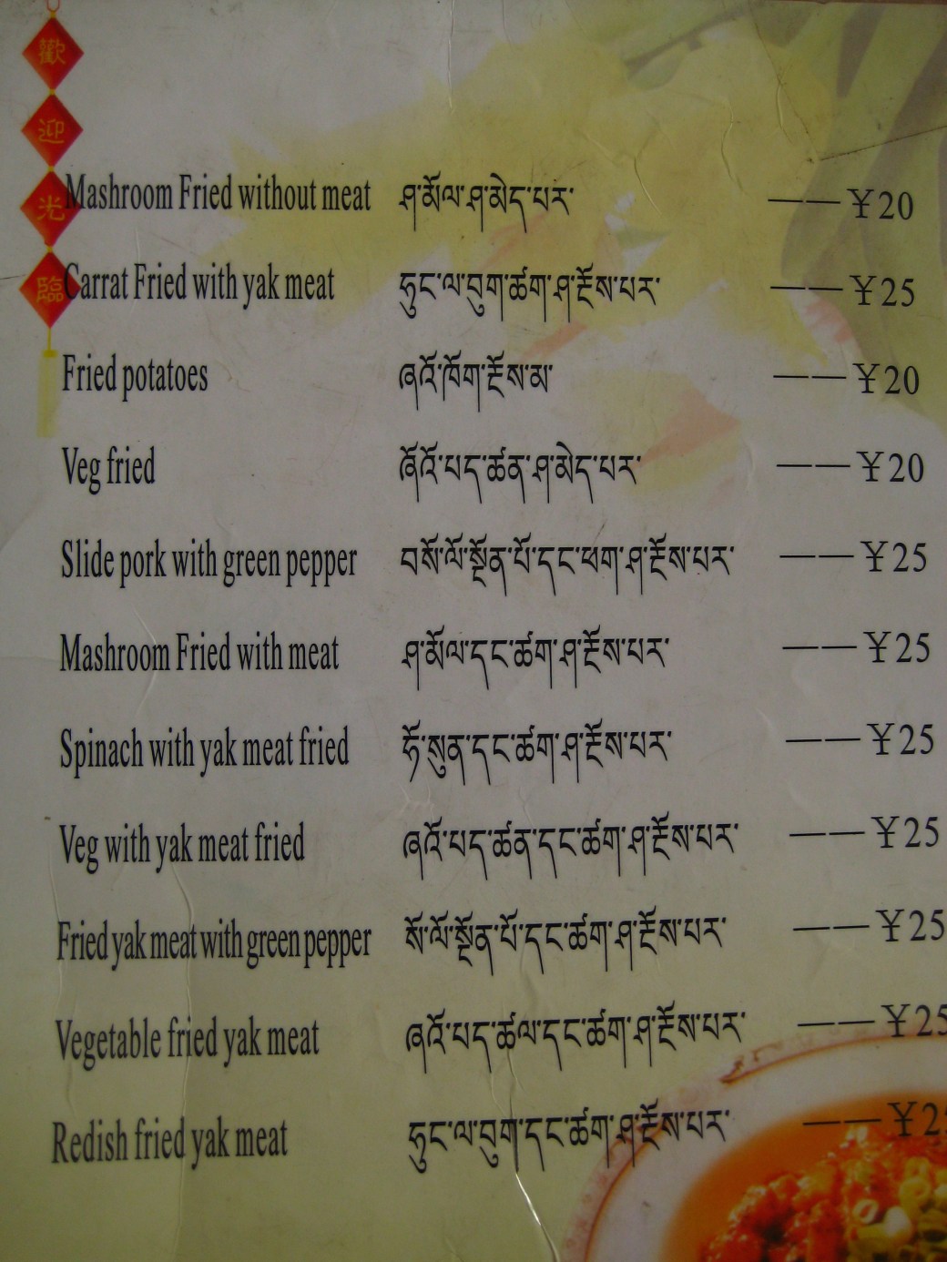 Kina och Tibet 2009 400