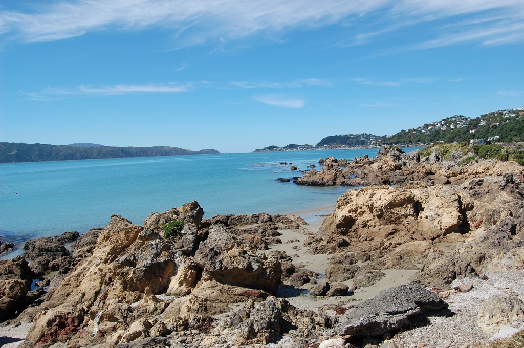Längs Marine Drive, Wellington