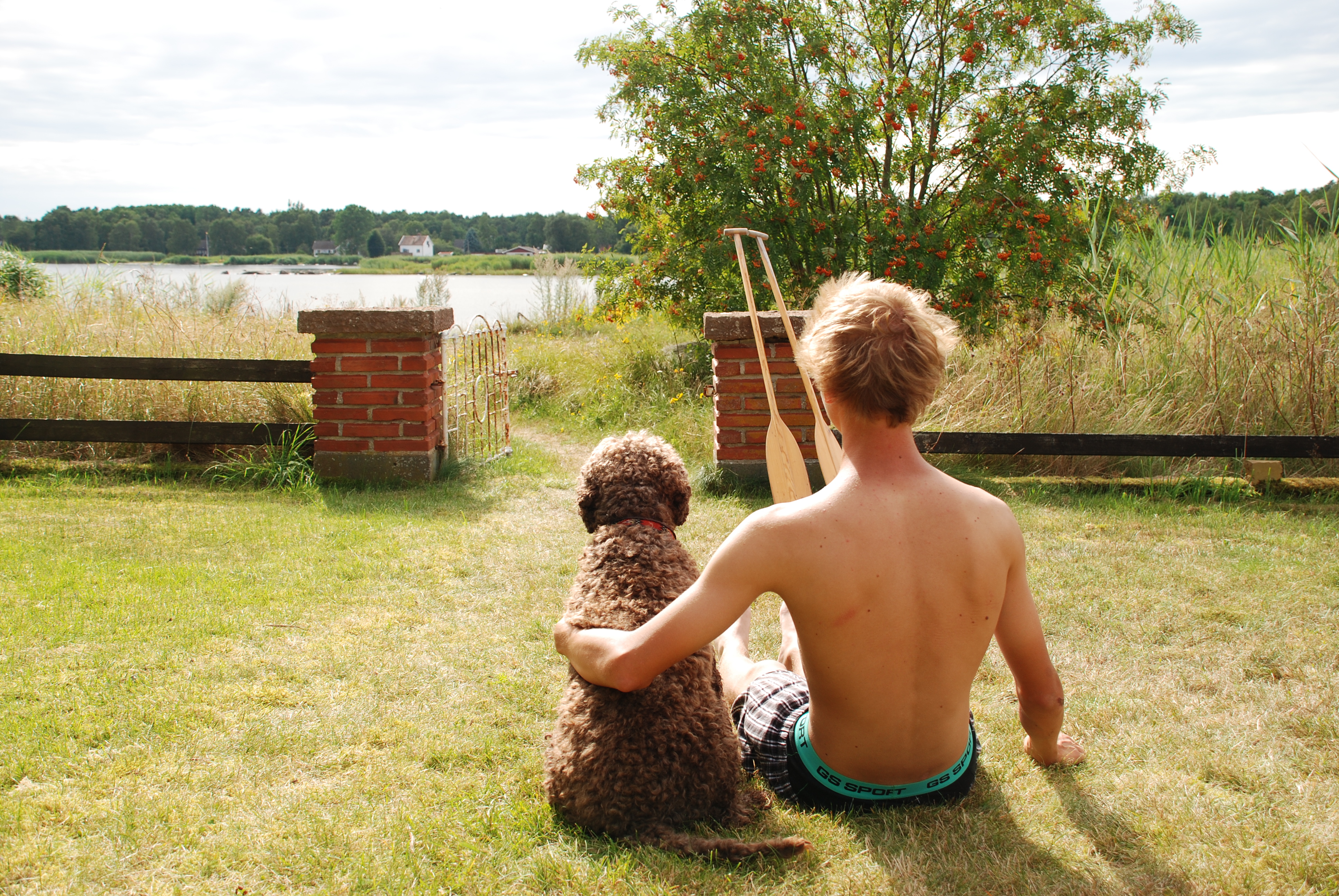 Favorithundbilder 027