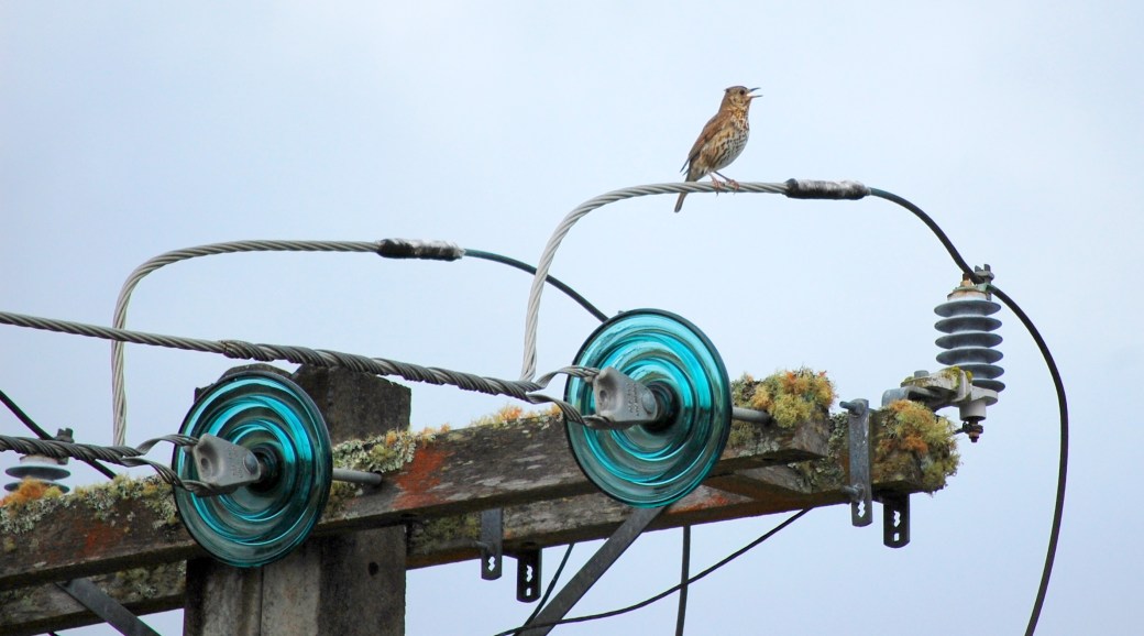 Kan du vakna skönare?