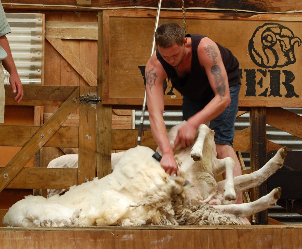 Hon ser inte ut att misstycka