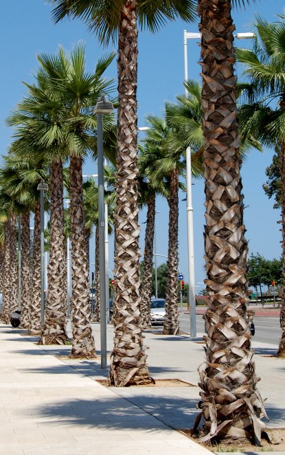 Barcelona och Pyrenéerna 2011 242