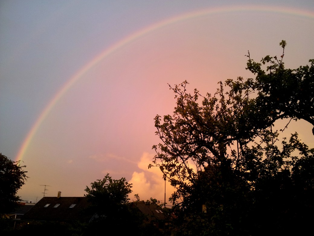 Regnbåge 002