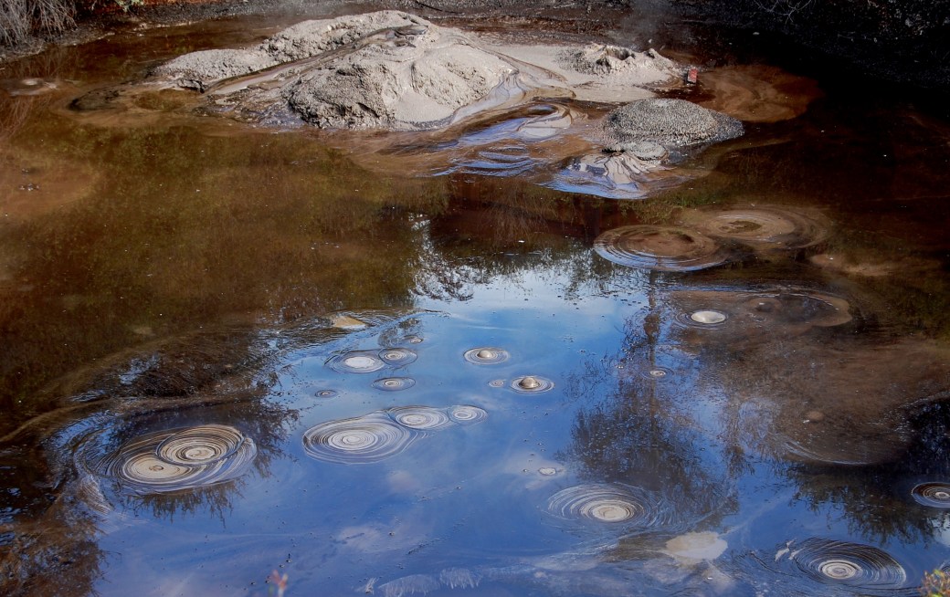 Mudpool, NZ