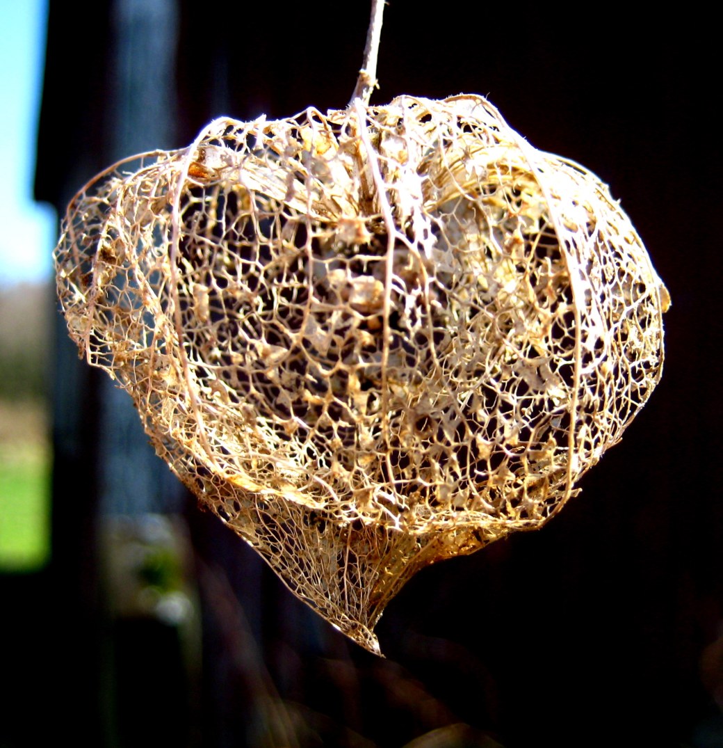 Sommarvärme i april 026