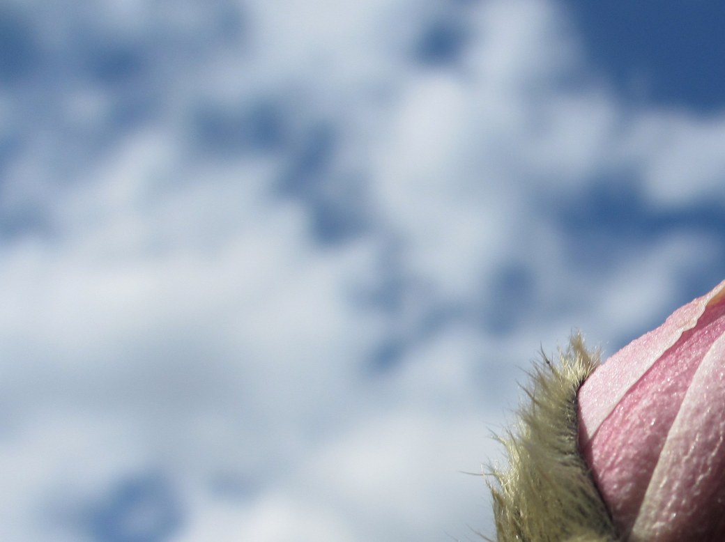 mera-vc3a5r-2012-066