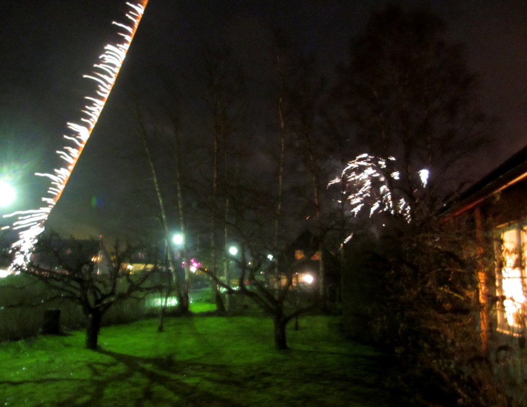 God fortsättning på det nya året!