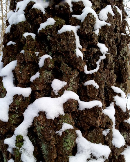 På väg våren 2013 057