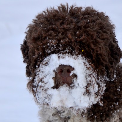 Vintersol igen 2013 046