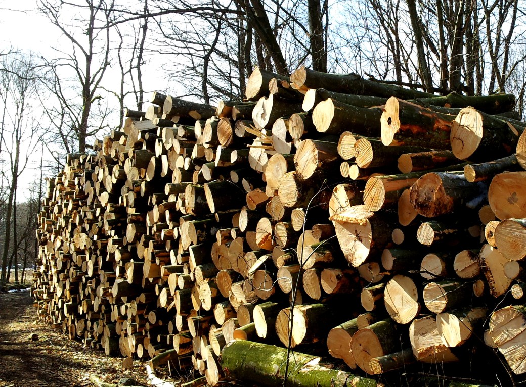 Is och stockar 2013 004