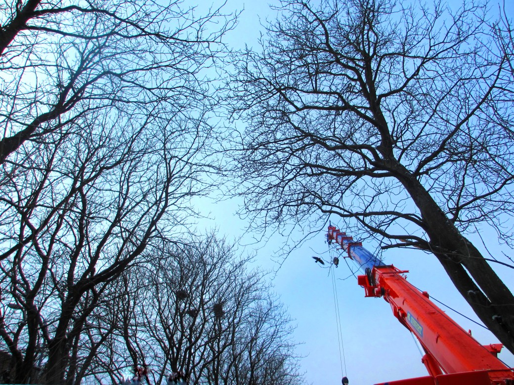 Searchig for Spring in Lund 030