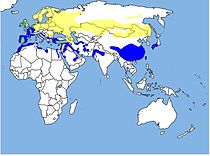 210px-DistributionVanellus