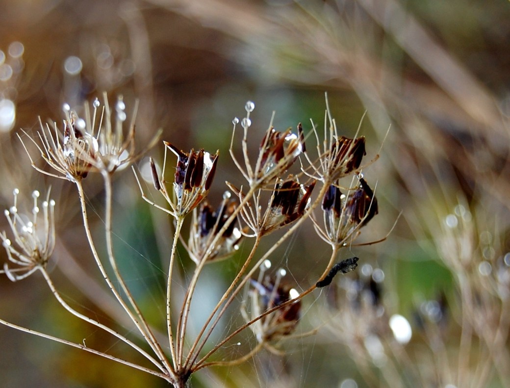 Öppet hus och v.44 2011 089