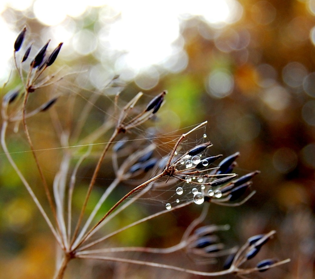 Öppet hus och v.44 2011 092