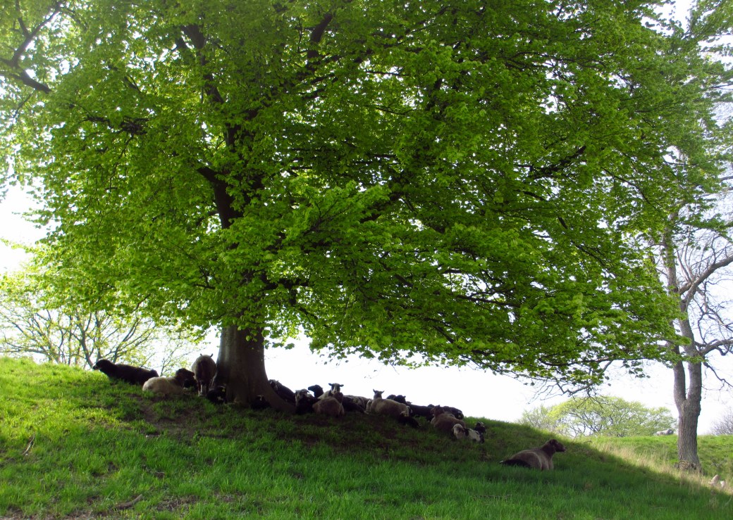 En dag i Landskrona med Viveka 055