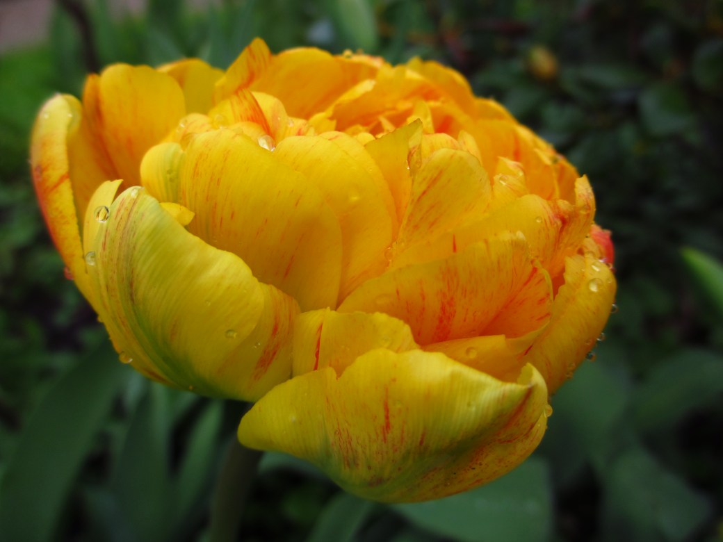 En dag i Landskrona med Viveka 182