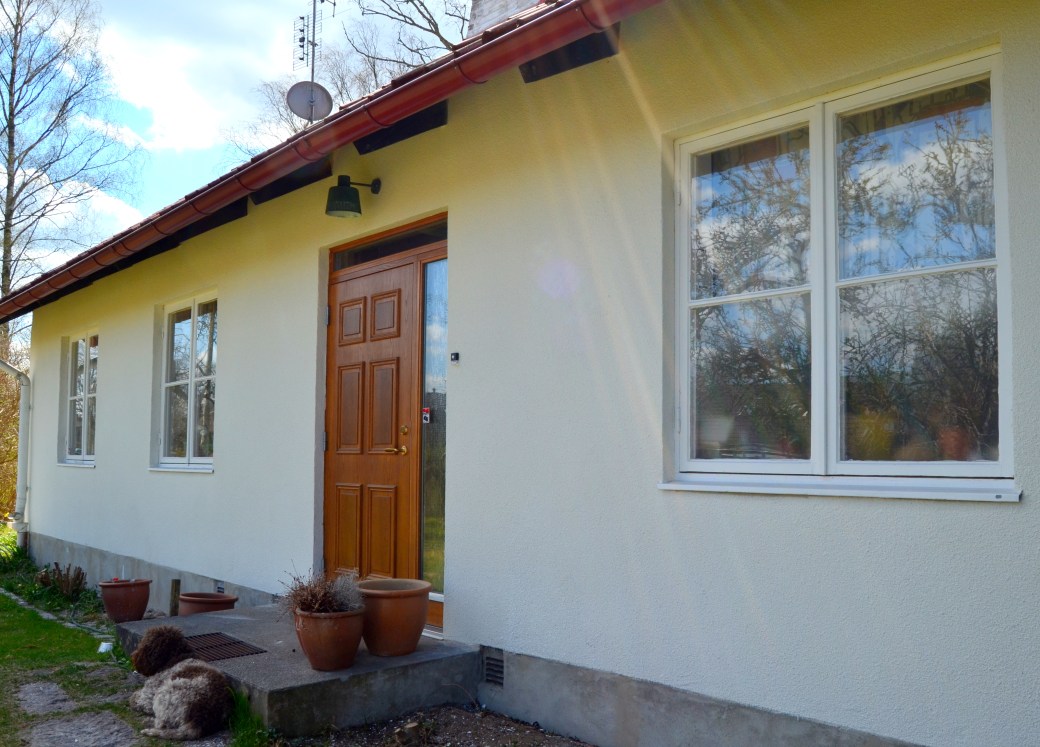 Mera magnolia och buketter maj 040