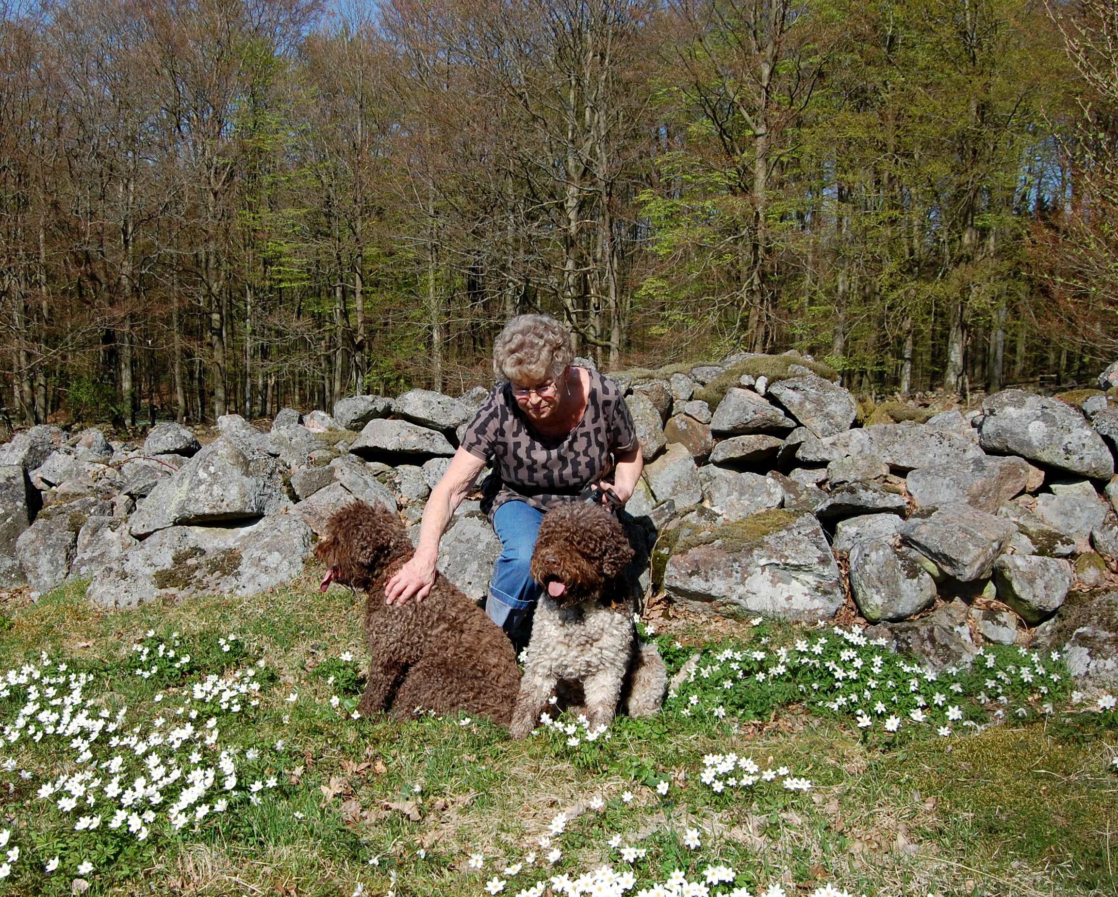 Indienresenärer och bokarna slår ut 2011 059