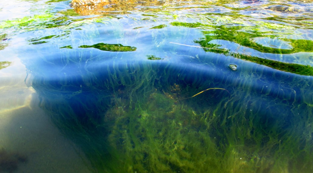 Ronneby och Köpe 2013 016