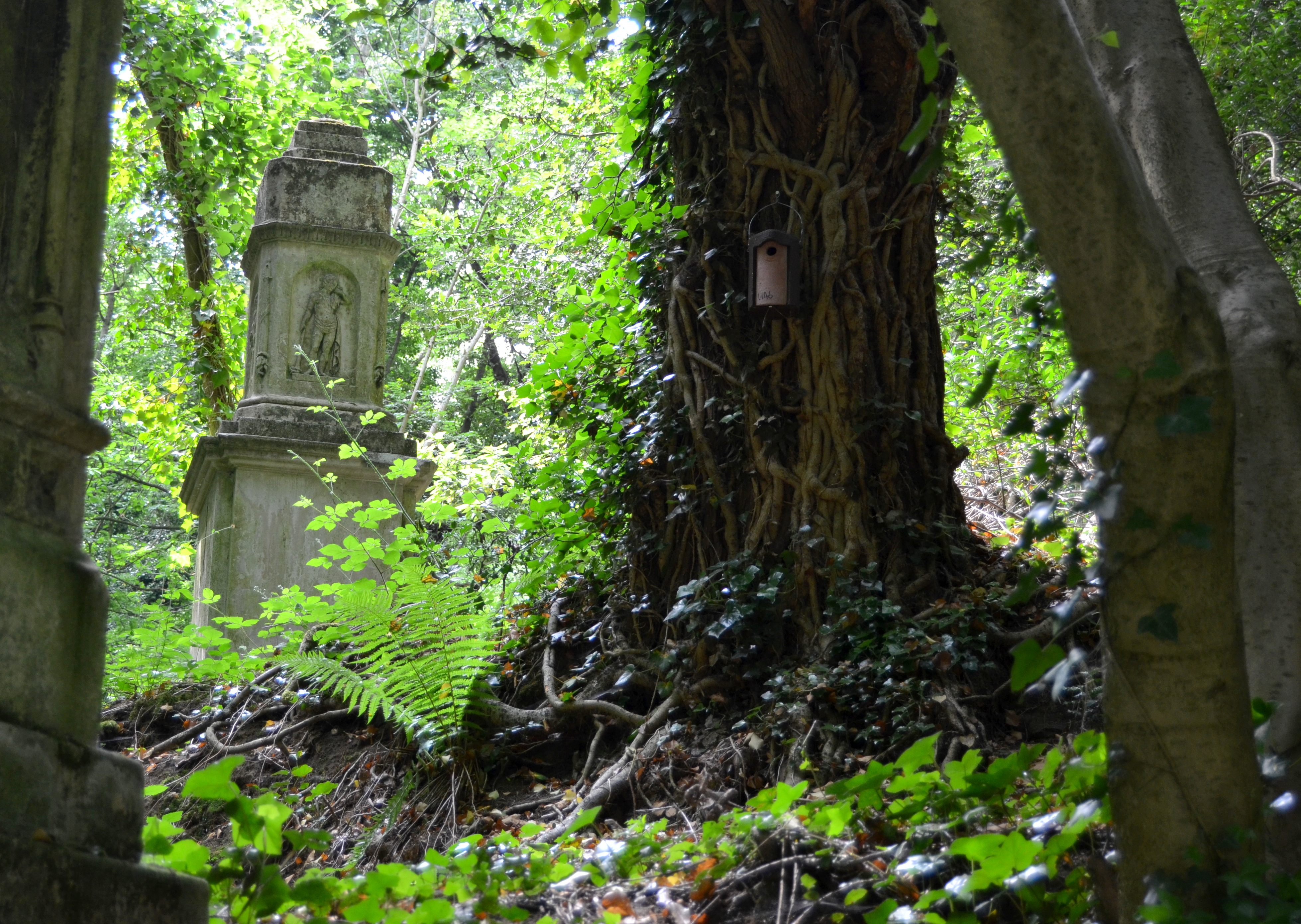 London juni 2013 217