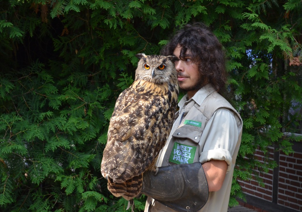 Walsrode juli 2013 106