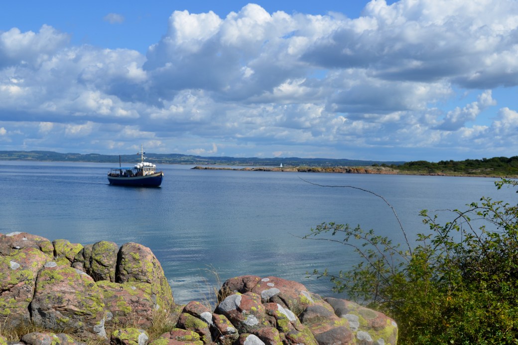 Hallands Väderö 2013 111