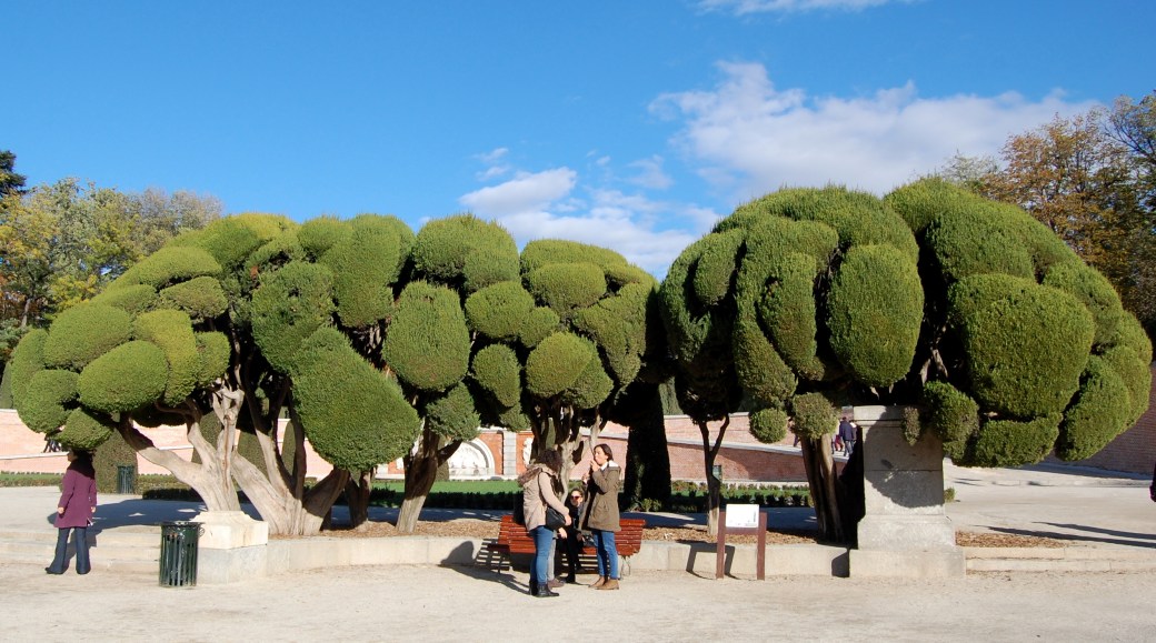 Madrid Segovia Toledo 2012 947