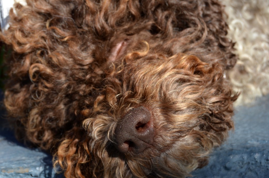 Millegarne i september 2013 205