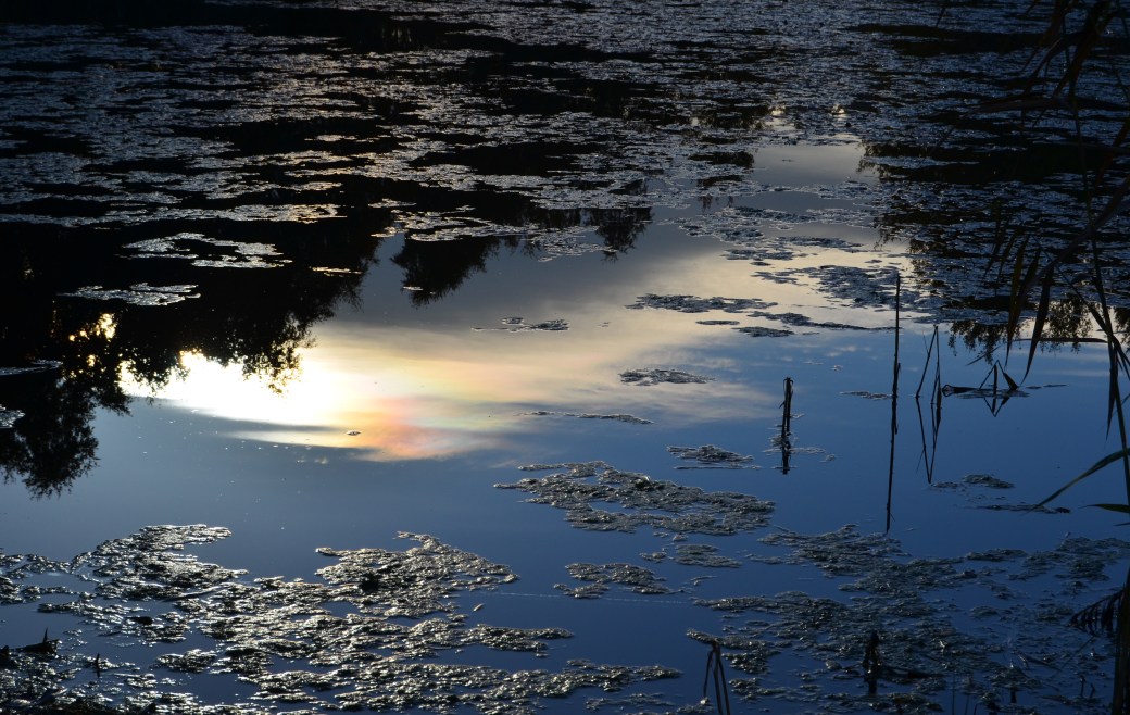 Magle och Hovdalahöst 022