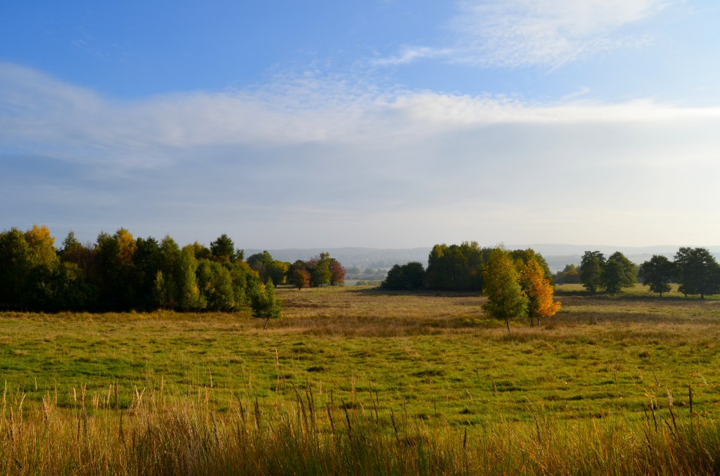 Magle och Hovdalahöst 133