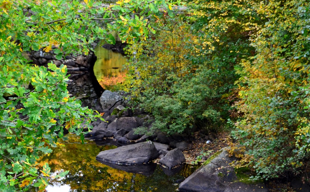 Magle och Hovdalahöst 165