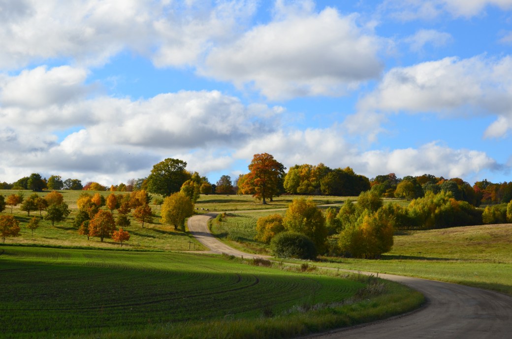 Mera Magle och Hovdala 116