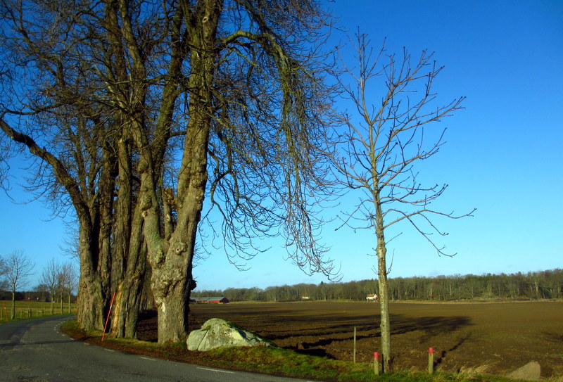 23 december 2013 014