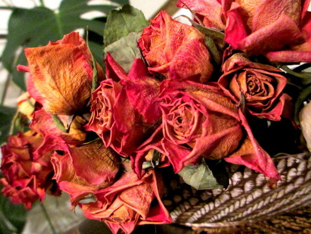 Inför julen 2013 022