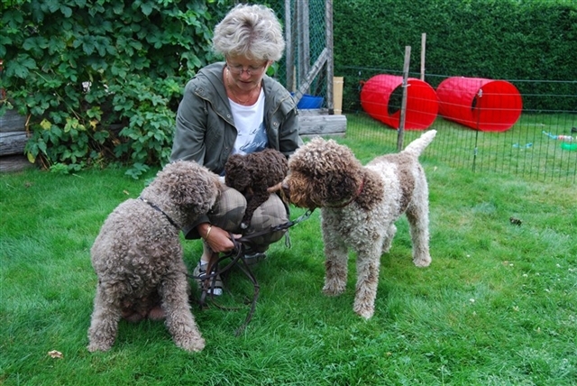 Skrållan, Totti and Belezza or Bronzone in my lap