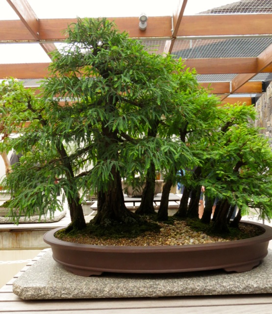 Penjing