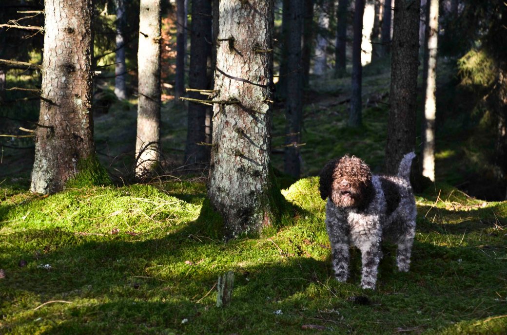 Vedema januari 2015 014_copy6