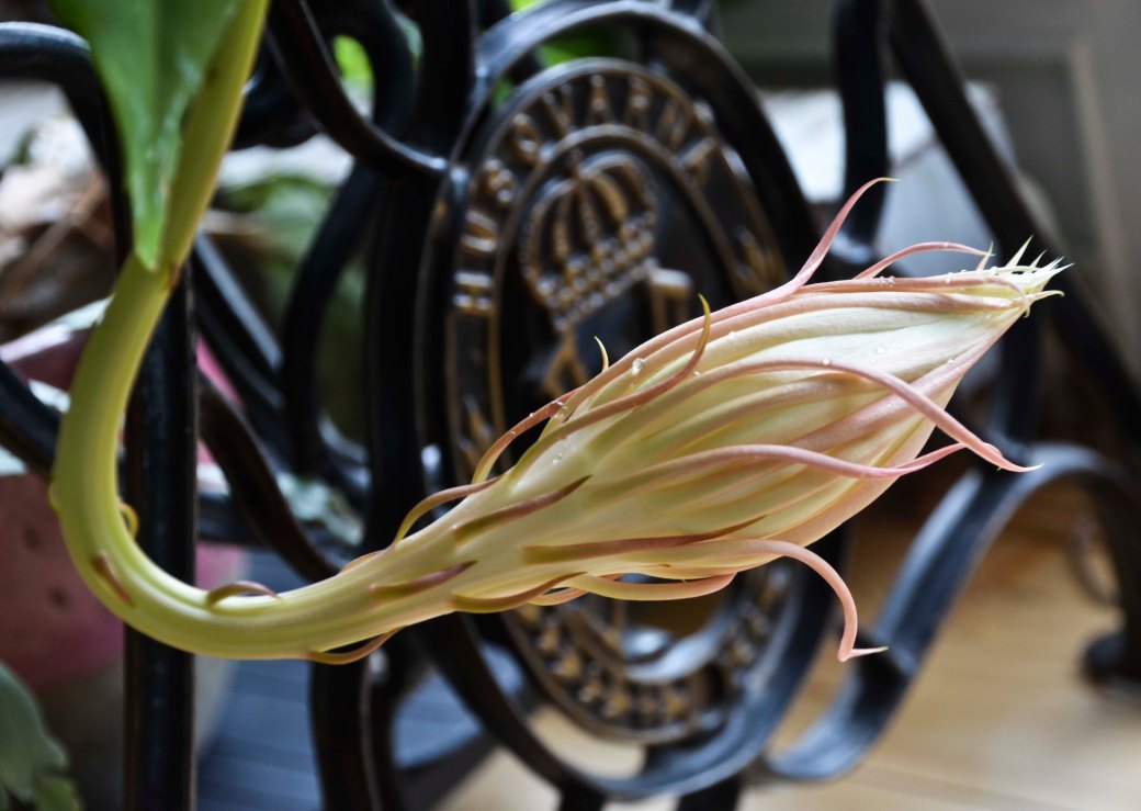 Riga med omnejd 2015 927_copy