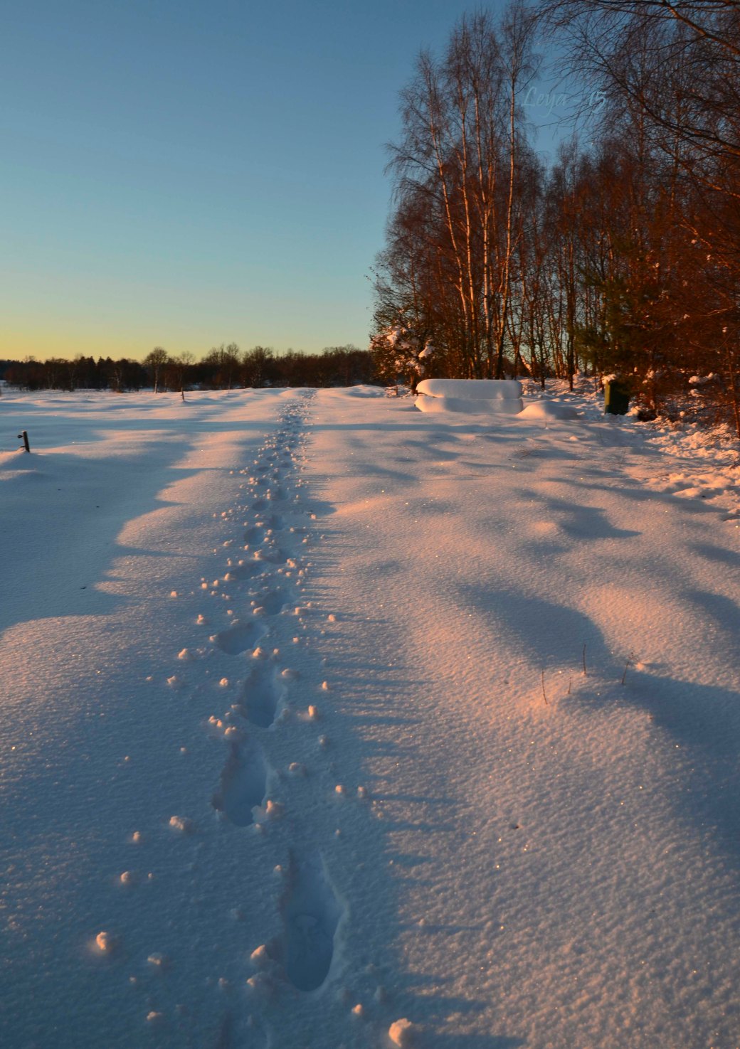Hovdala och Magle soluppgång 031_copy