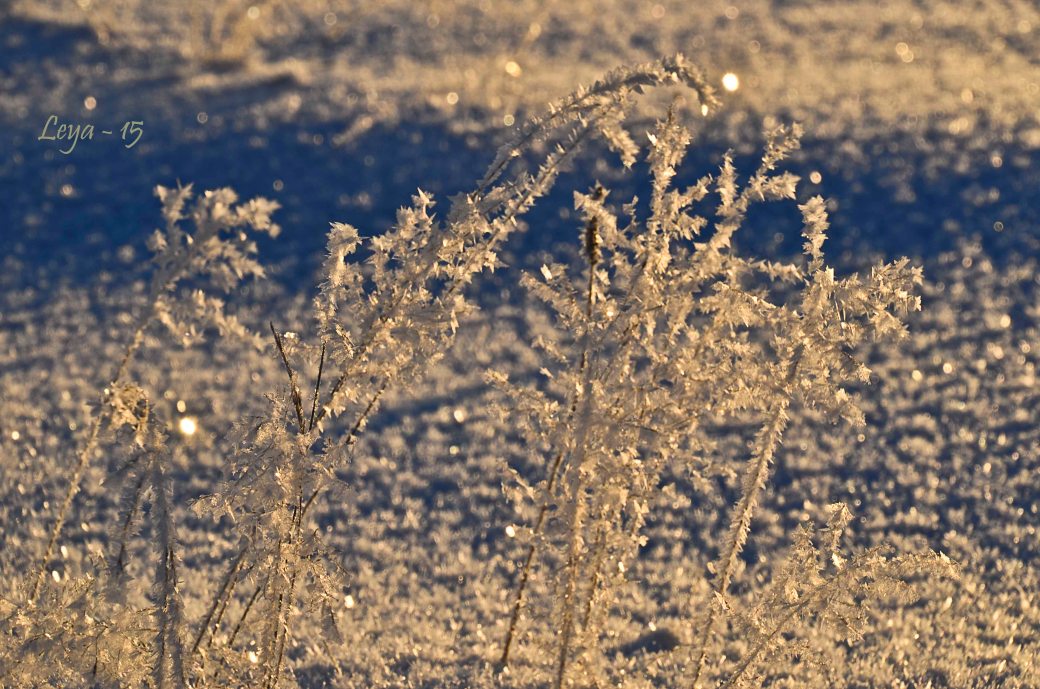 Hovdala och Magle soluppgång 072_copy