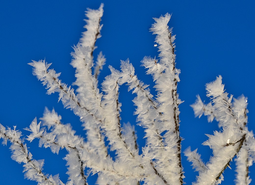 Hovdala och Magle soluppgång 130_copy