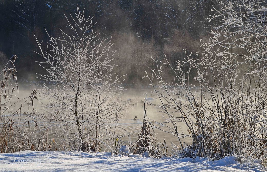 Hovdala och Magle soluppgång 176_copy