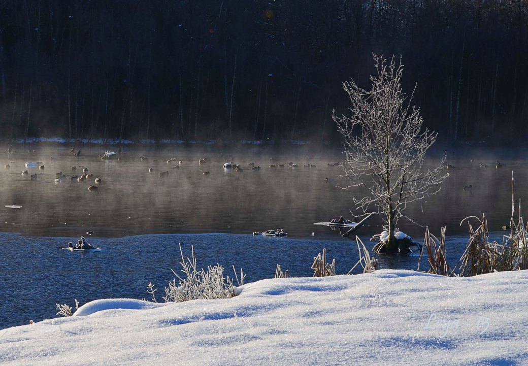 Hovdala och Magle soluppgång 200_copy