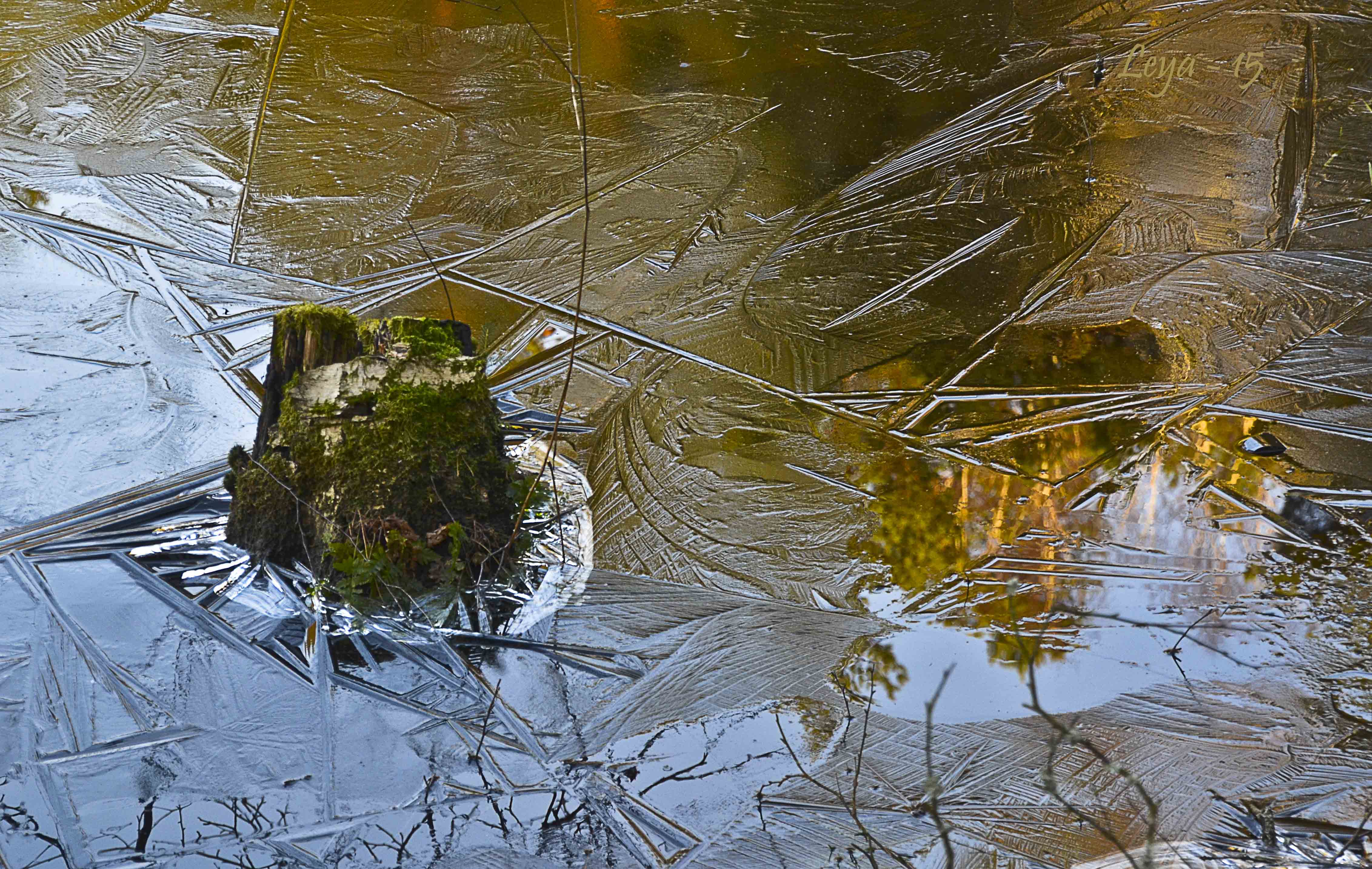 Vedema Nyårsafton 2015 103_copy