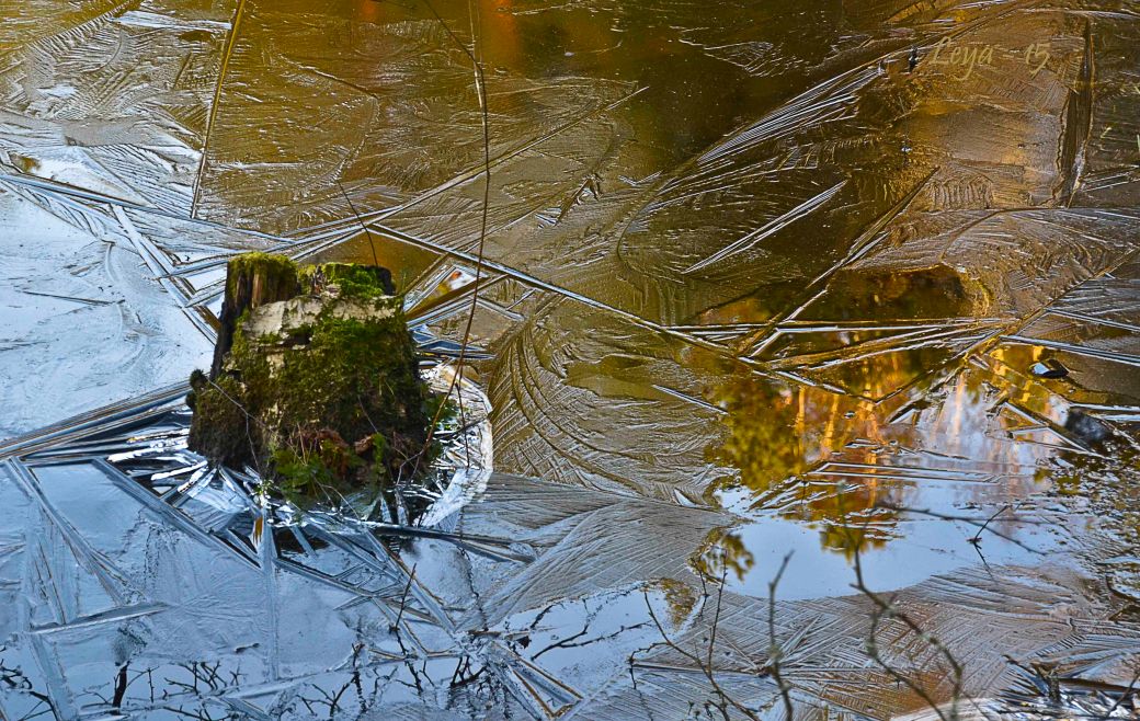 Vedema Nyårsafton 2015 103_copy