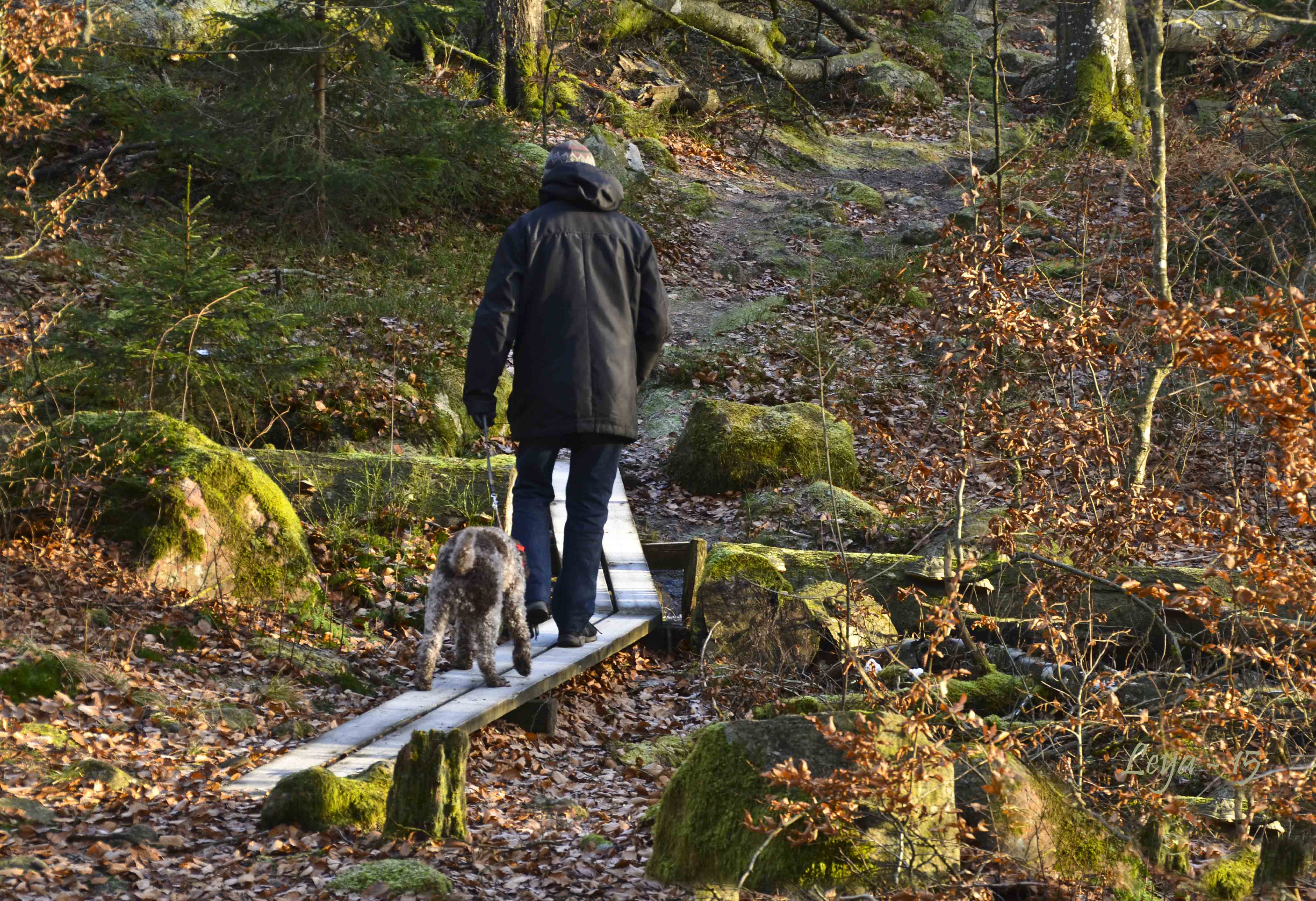 Vedema Nyårsafton 2015 049_copy