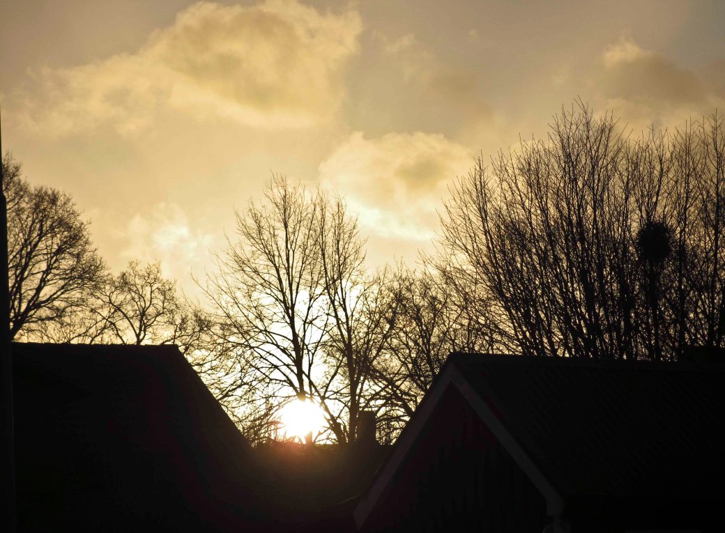 Winter Solstice 036_copy