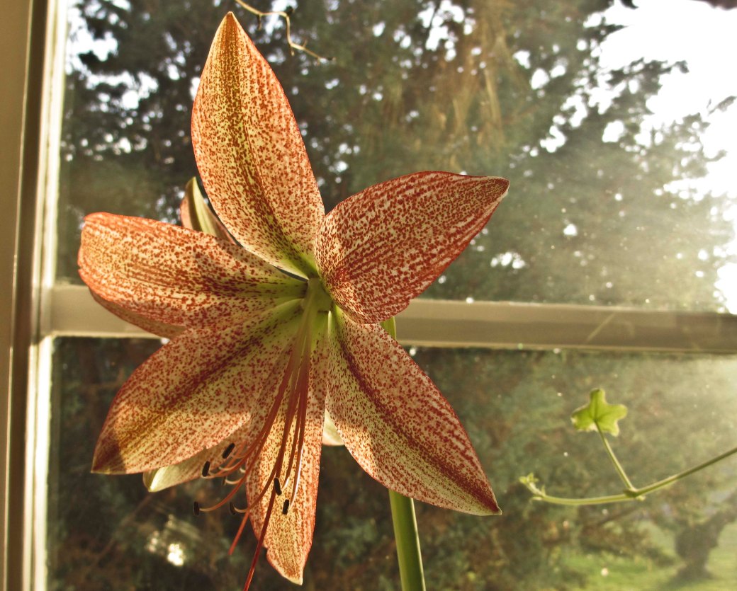 Winter Solstice 041_copy