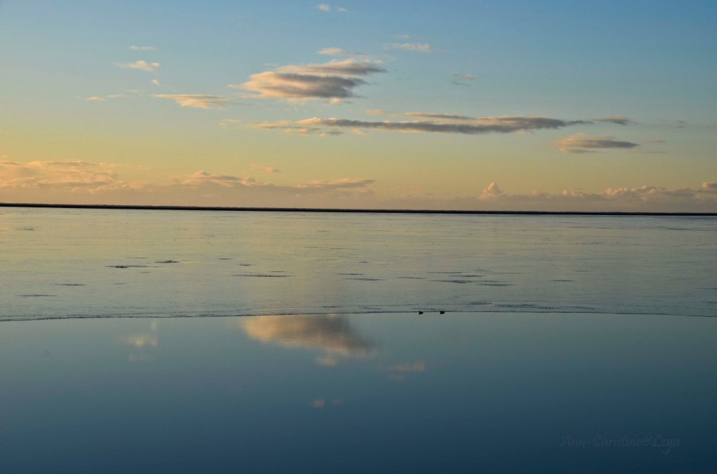 Island 2016 247_copy